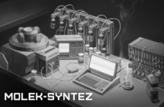 MOLEK-SYNTEZ MX (Mexico)